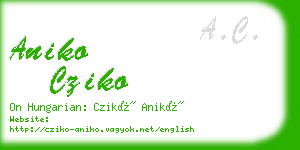 aniko cziko business card